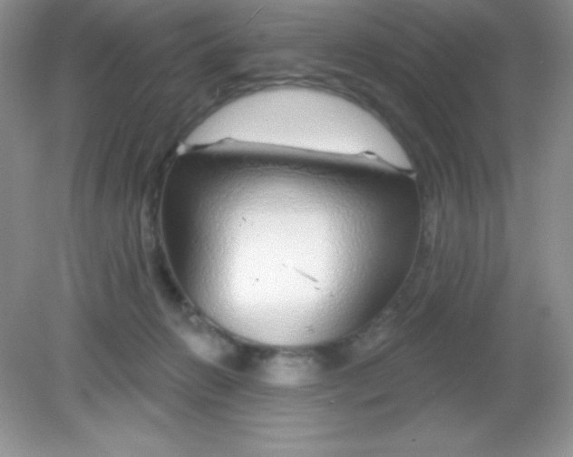 X0000082160270200702021708