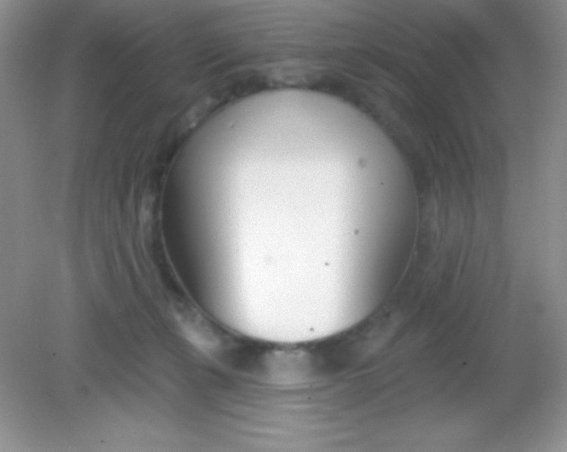 X0000082160271200702021708