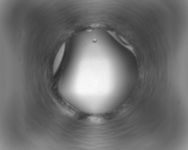 X0000082160272200702021708