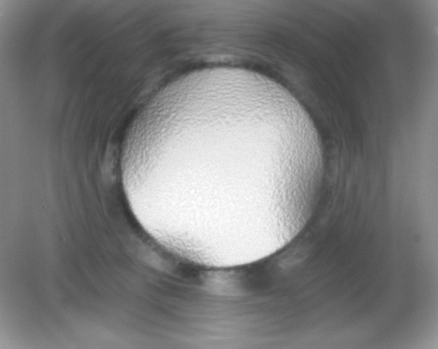 X0000082160273200702021708