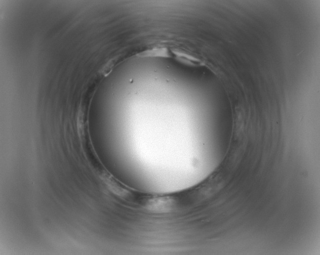 X0000082160274200702021708