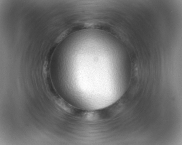 X0000082160275200702021708