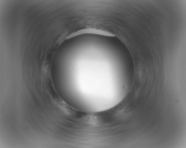 X0000082160276200702021708