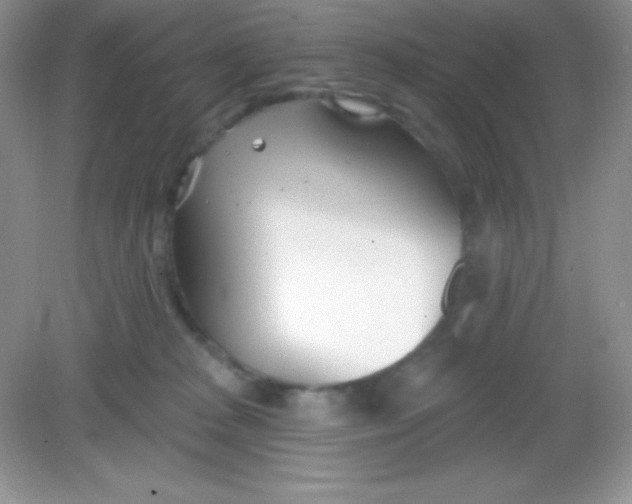 X0000082160277200702021708