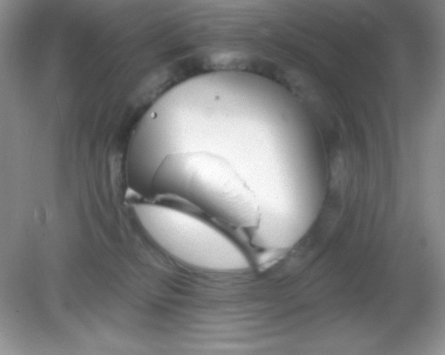 X0000082160278200702021708