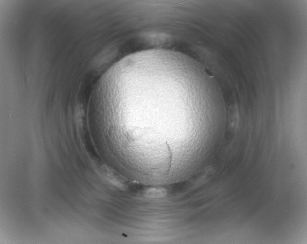 X0000082160279200702021708