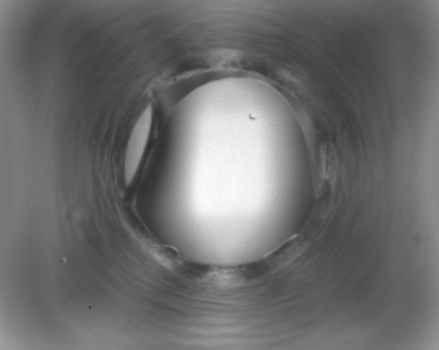 X0000082160280200702021709