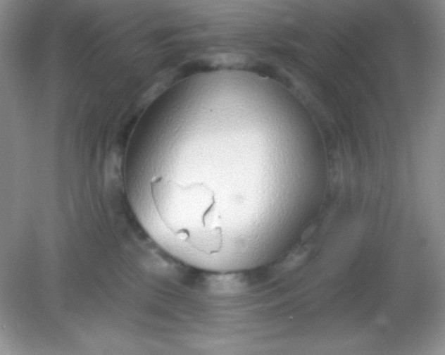 X0000082160281200702021709