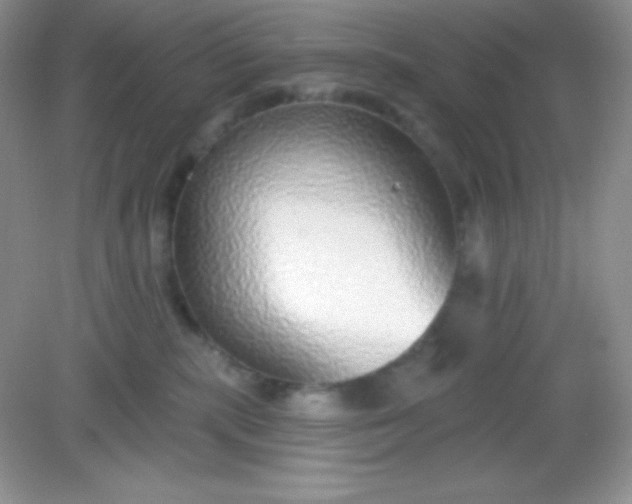 X0000082160283200702021709