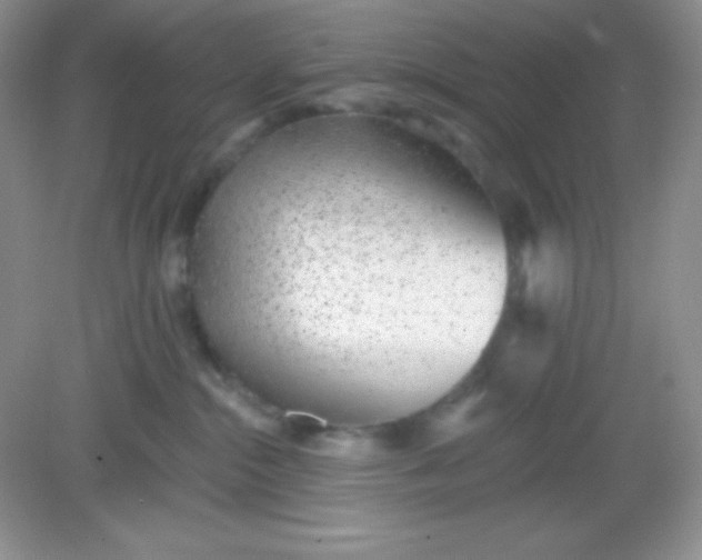 X0000082160284200702021709