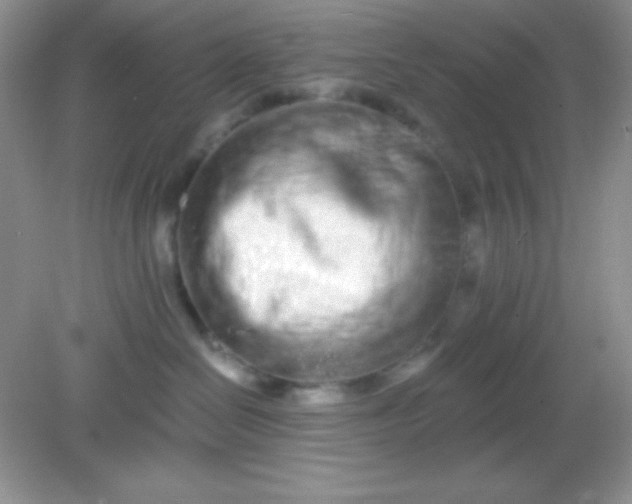 X0000082160286200702021709