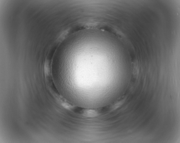 X0000082160287200702021709