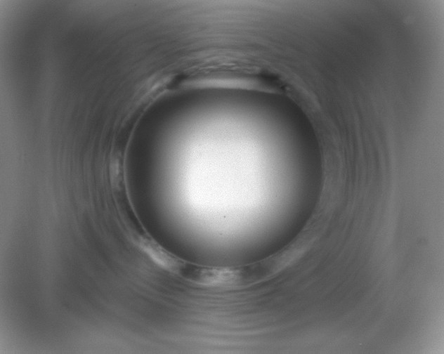 X0000082160288200702021709