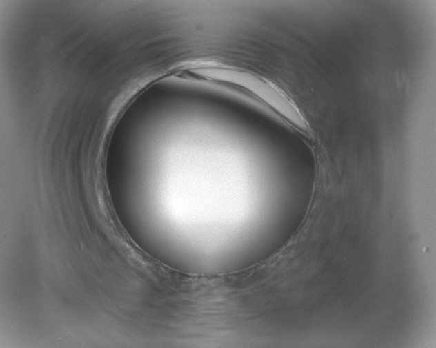 X0000082160289200702021708