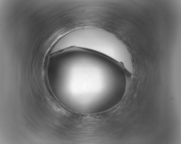 X0000082160290200702021708