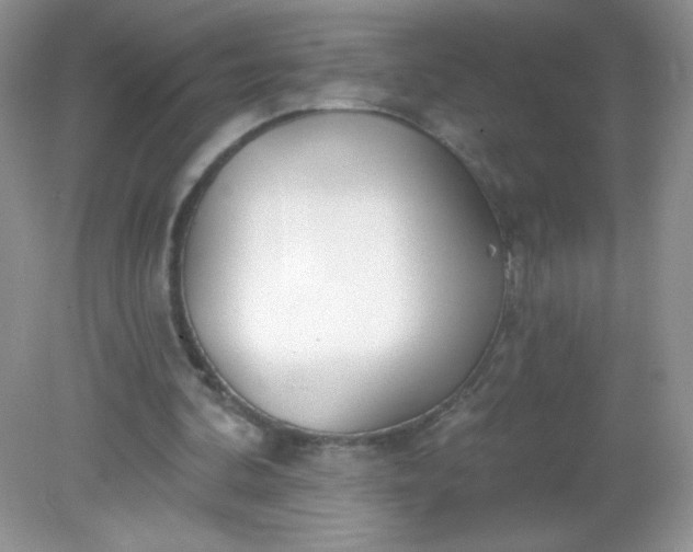 X0000082160292200702021708