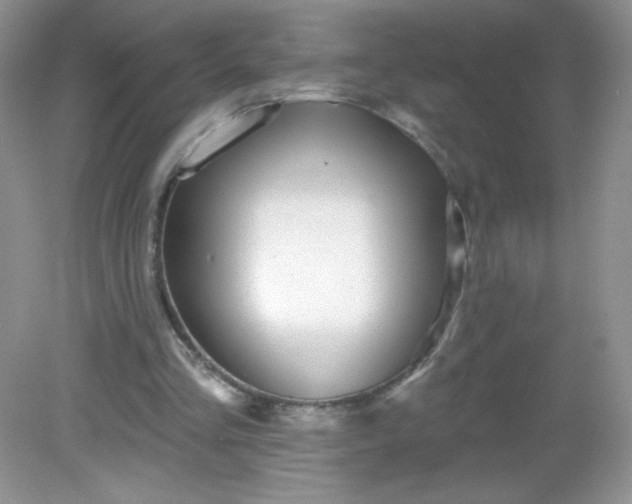 X0000082160293200702021708