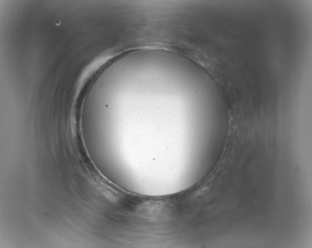 X0000082160294200702021708