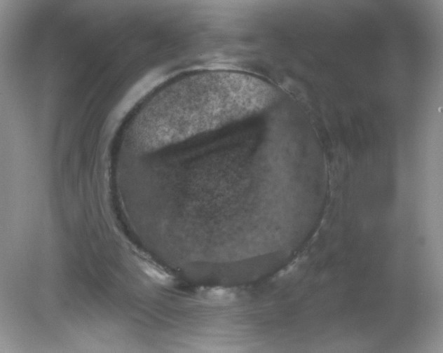 X0000082160295200702021708