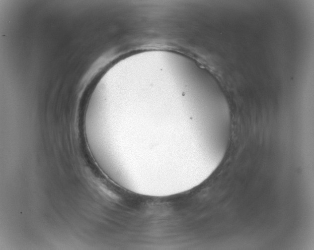 X0000082160296200702021708