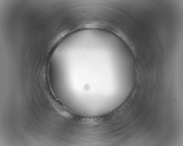 X0000082160297200702021708