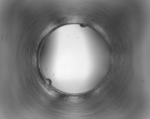 X0000082160298200702021708