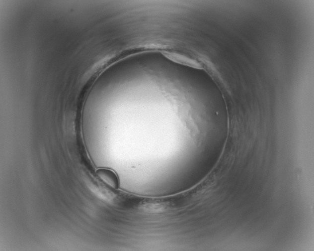 X0000082160299200702021708