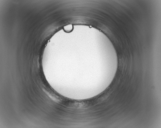 X0000082160302200702021708