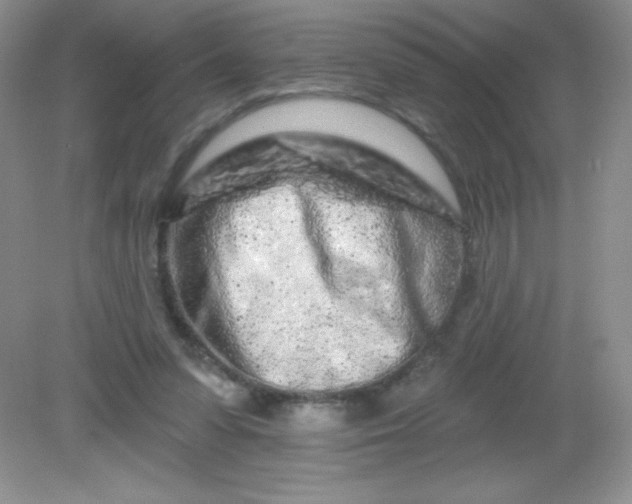 X0000082160303200702021708