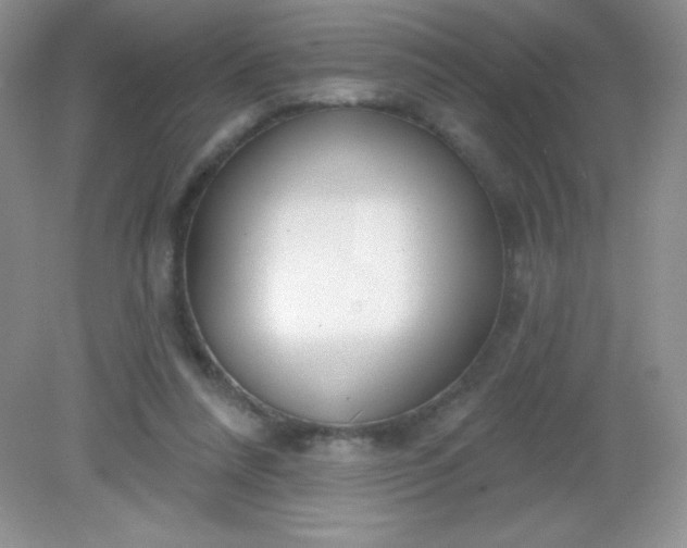 X0000082160304200702021708