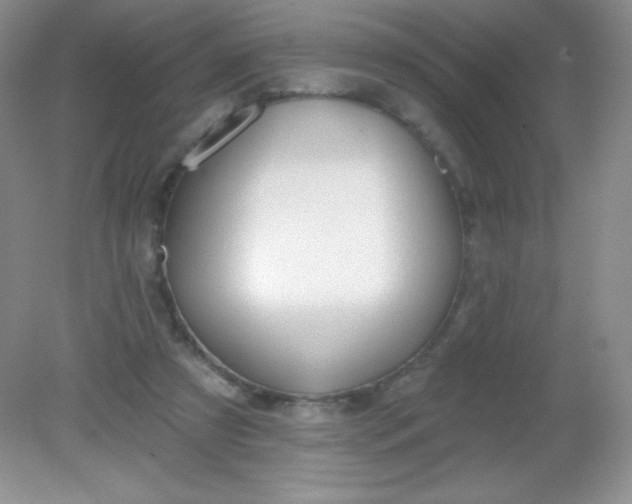 X0000082160305200702021708