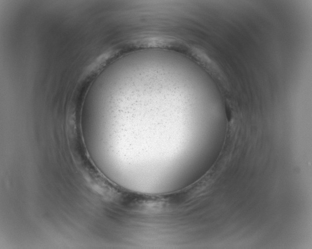 X0000082160306200702021708