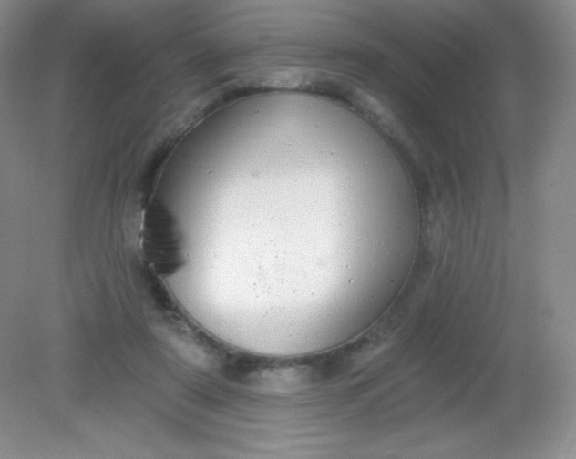 X0000082160307200702021708