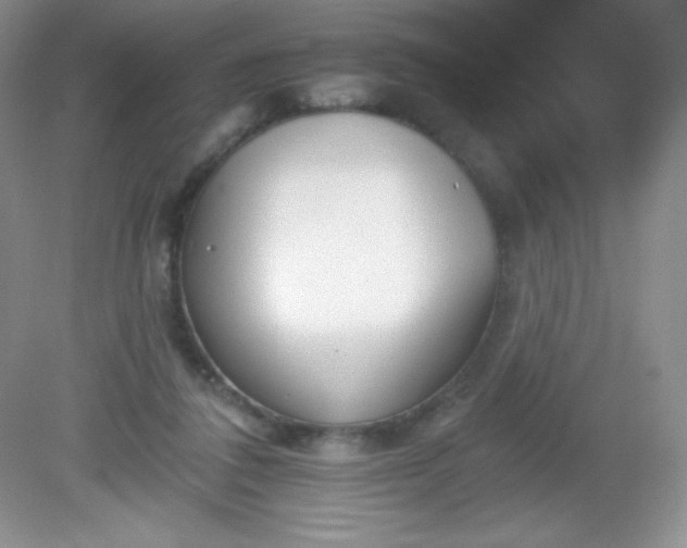 X0000082160308200702021708