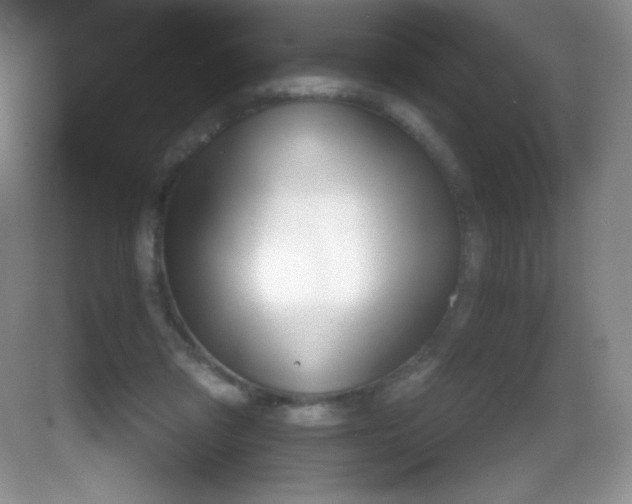 X0000082160309200702021708