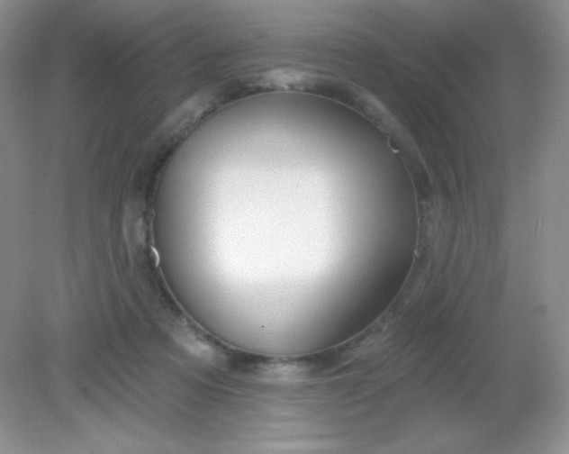 X0000082160313200702021707