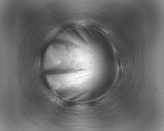 X0000082160314200702021707