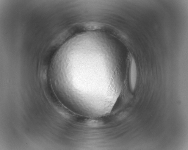 X0000082160315200702021707