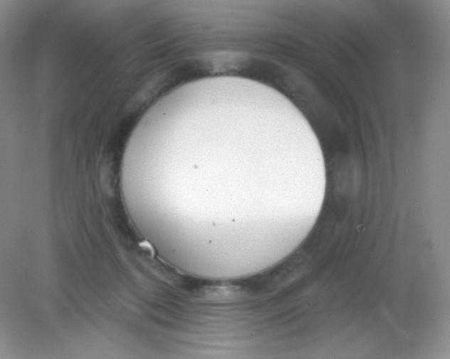 X0000082160316200702021707