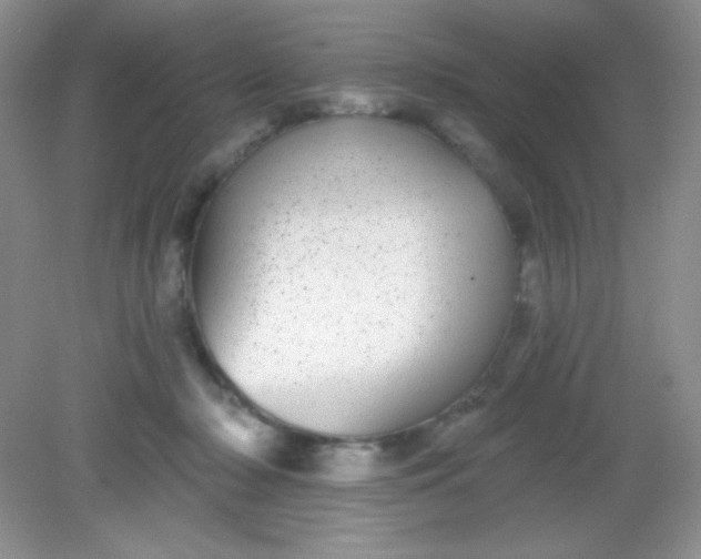 X0000082160318200702021707