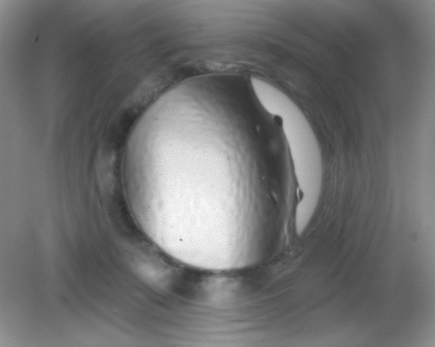 X0000082160319200702021707