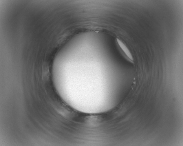 X0000082160320200702021707