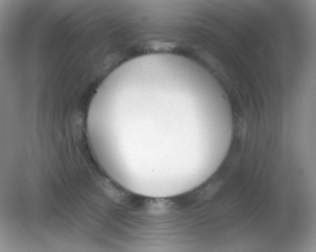 X0000082160321200702021707