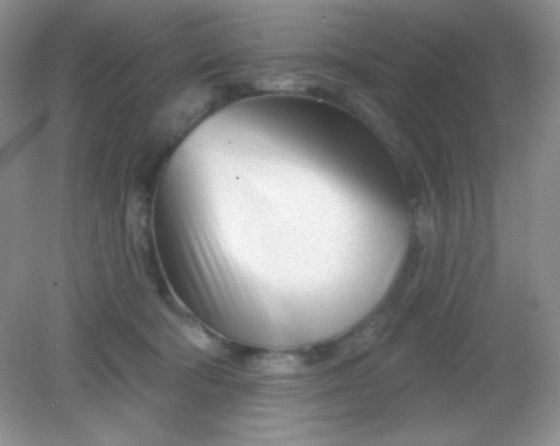 X0000082160322200702021707