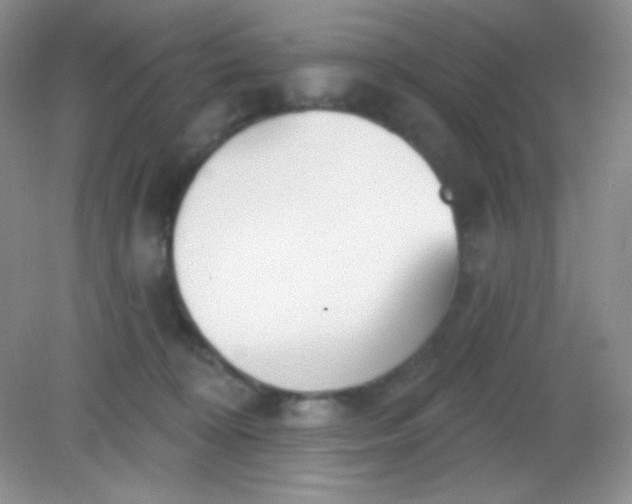 X0000082160324200702021707