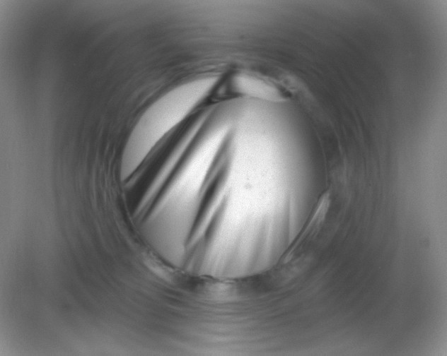 X0000082160325200702021707