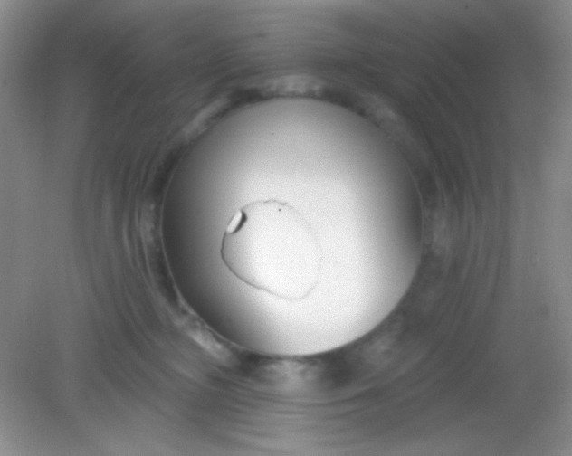 X0000082160326200702021707