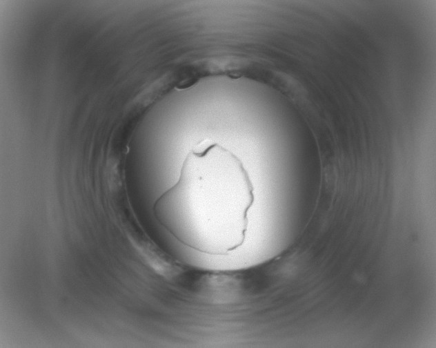 X0000082160327200702021707