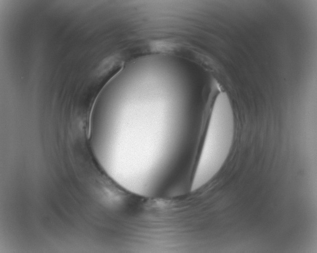 X0000082160329200702021707