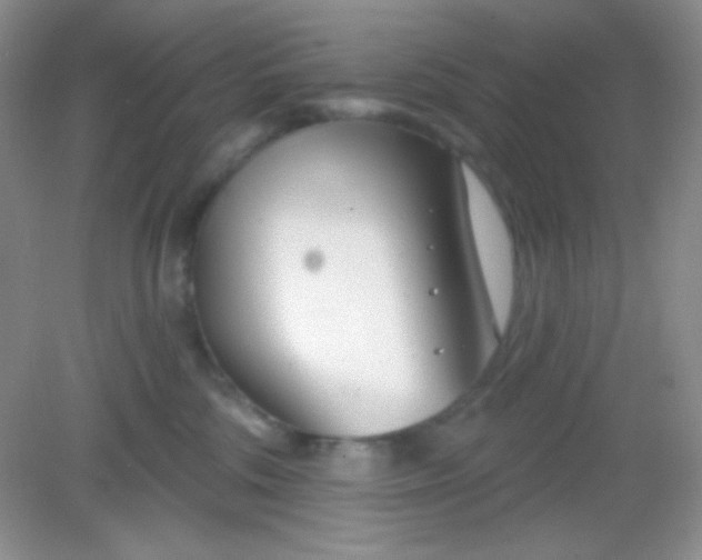 X0000082160330200702021707